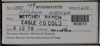 Image Associated With the Occurence